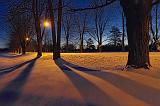 Tree Shadows At Dawn_04899-901